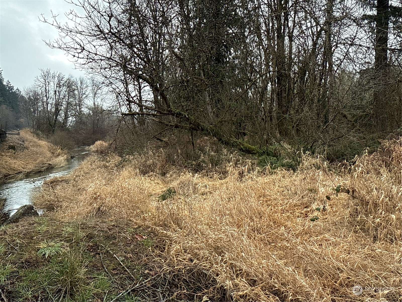 Centralia, WA 98531,24 XX Howard AVE