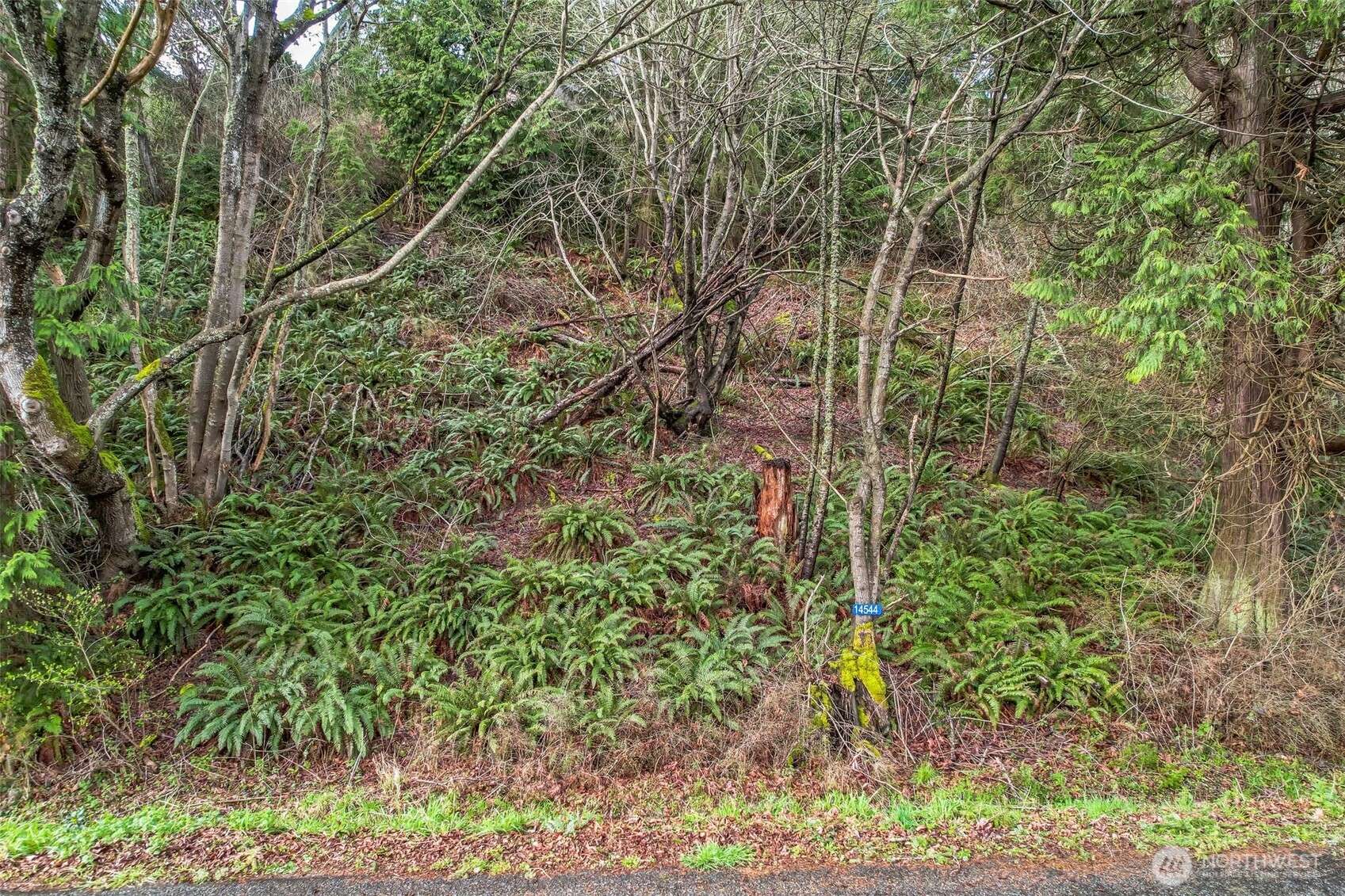 Anacortes, WA 98221,14544 Jura Way