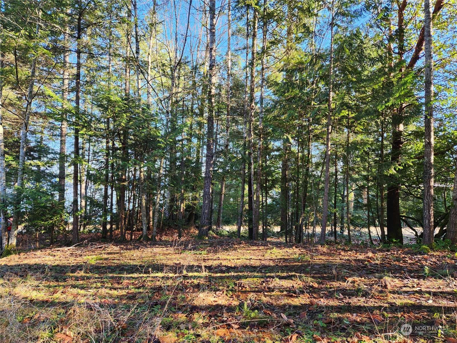 Brinnon, WA 98320,0 Archery LN