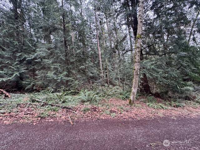 Sammamish, WA 98074,0 207th PL NE