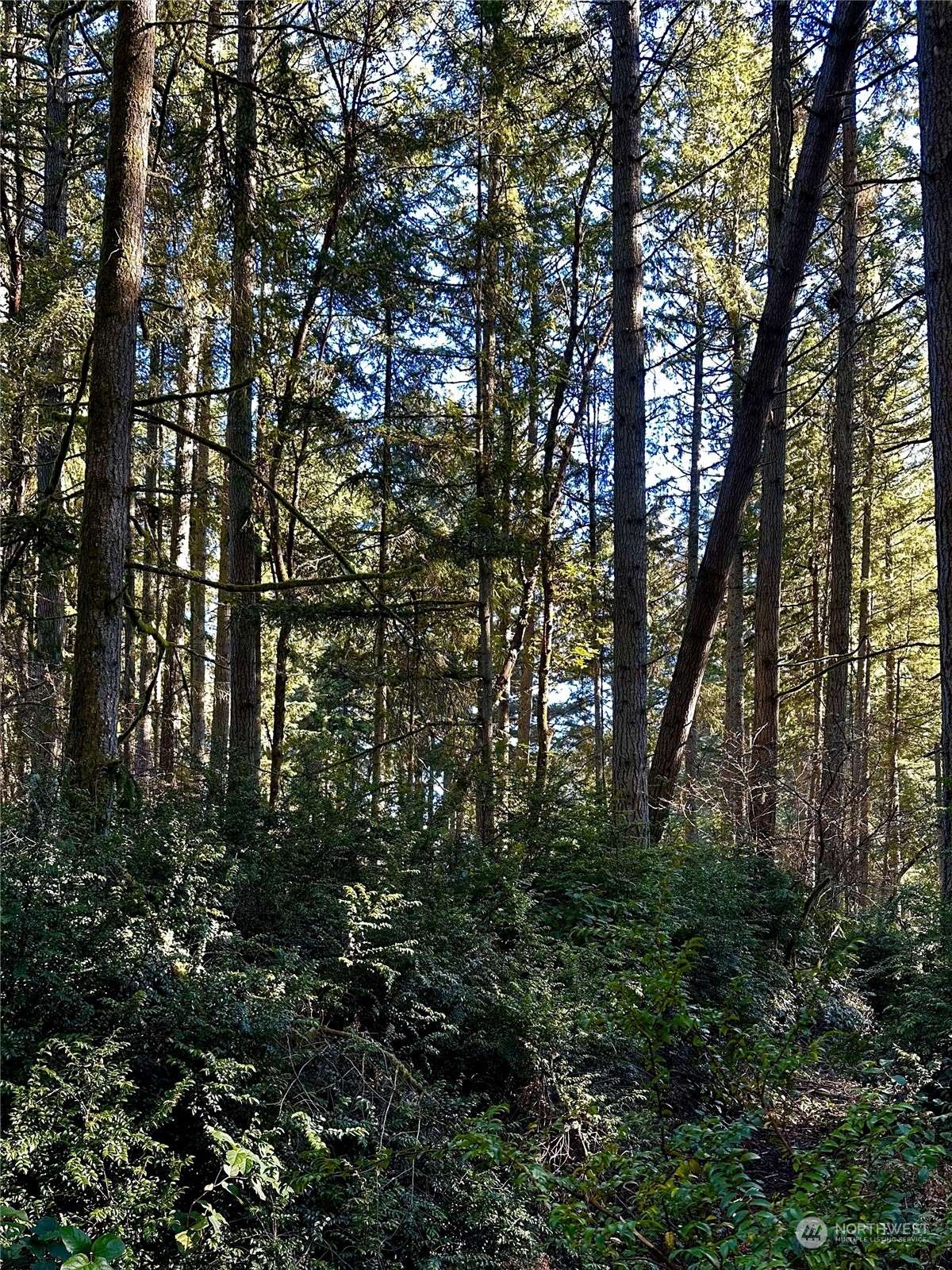 Anderson Island, WA 98303,11321 LAKE JOSEPHINE BLVD