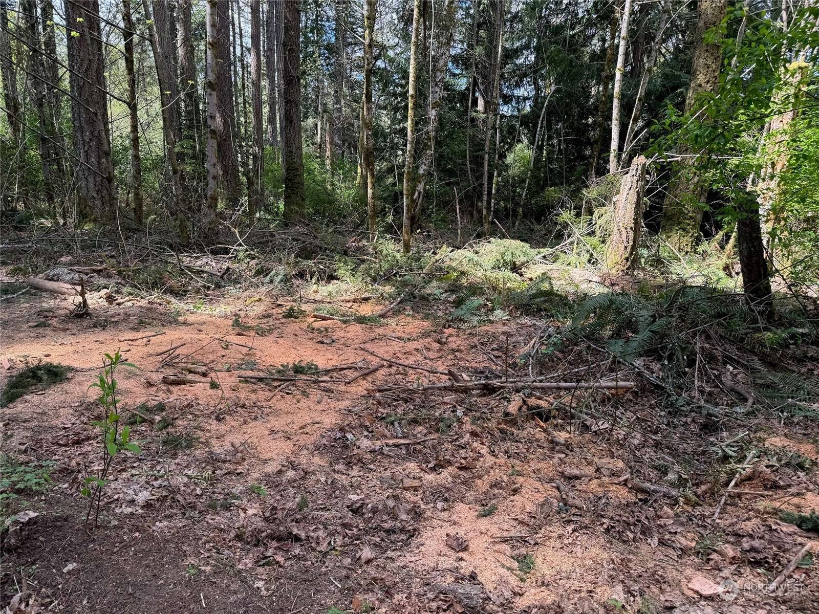Port Orchard, WA 98367,12512 Westbrook DR SW