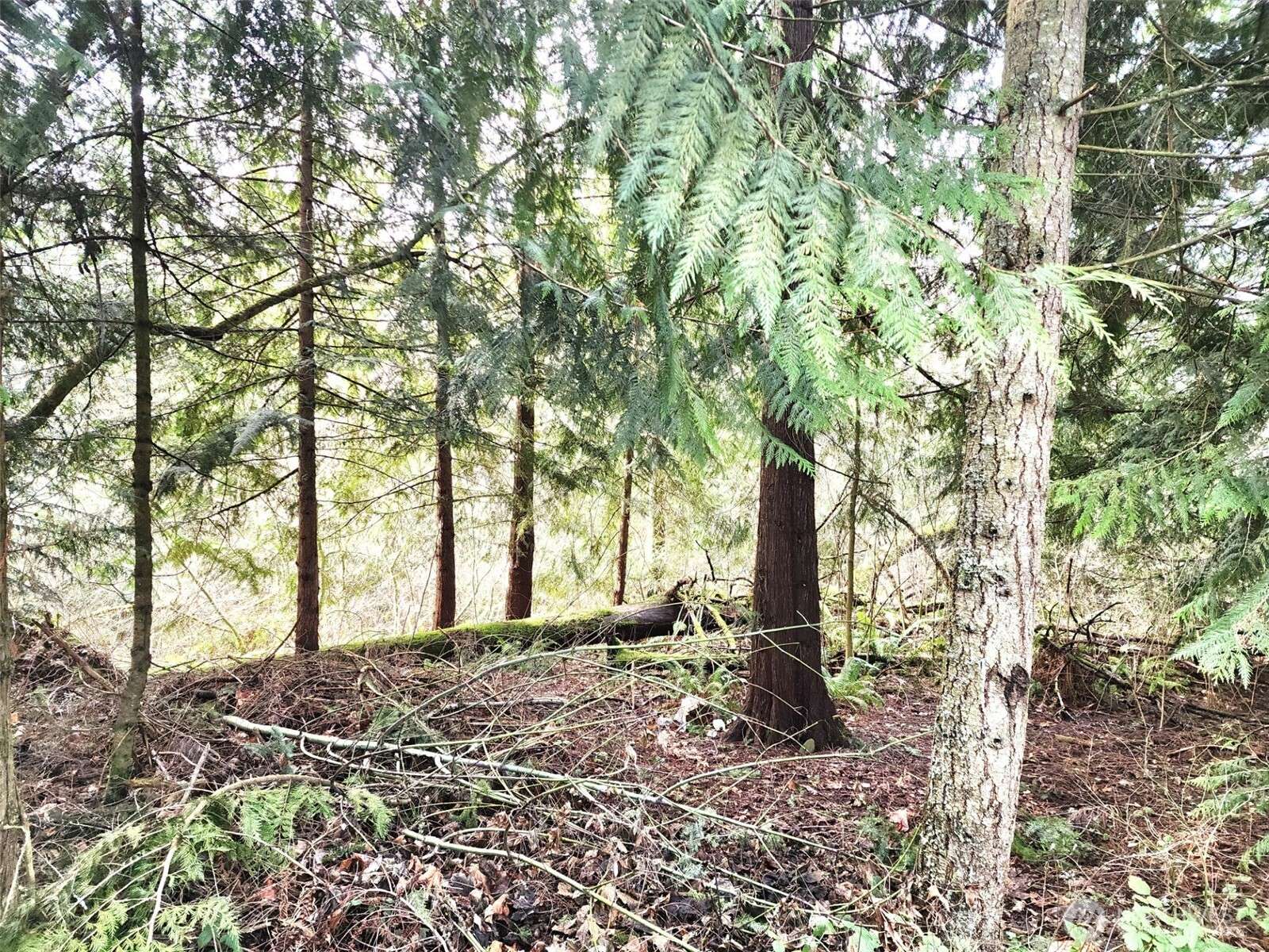 Yelm, WA 98597,17931 West LN SE