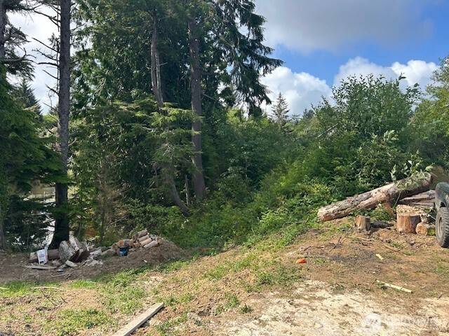 South Bend, WA 98586,0 Lot 4 Sunrise LN