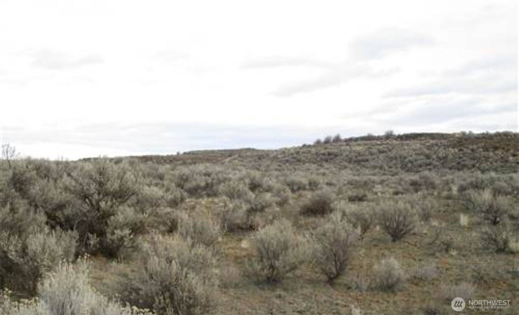 Ephrata, WA 98823,0 Lot 9 Pheasant DR