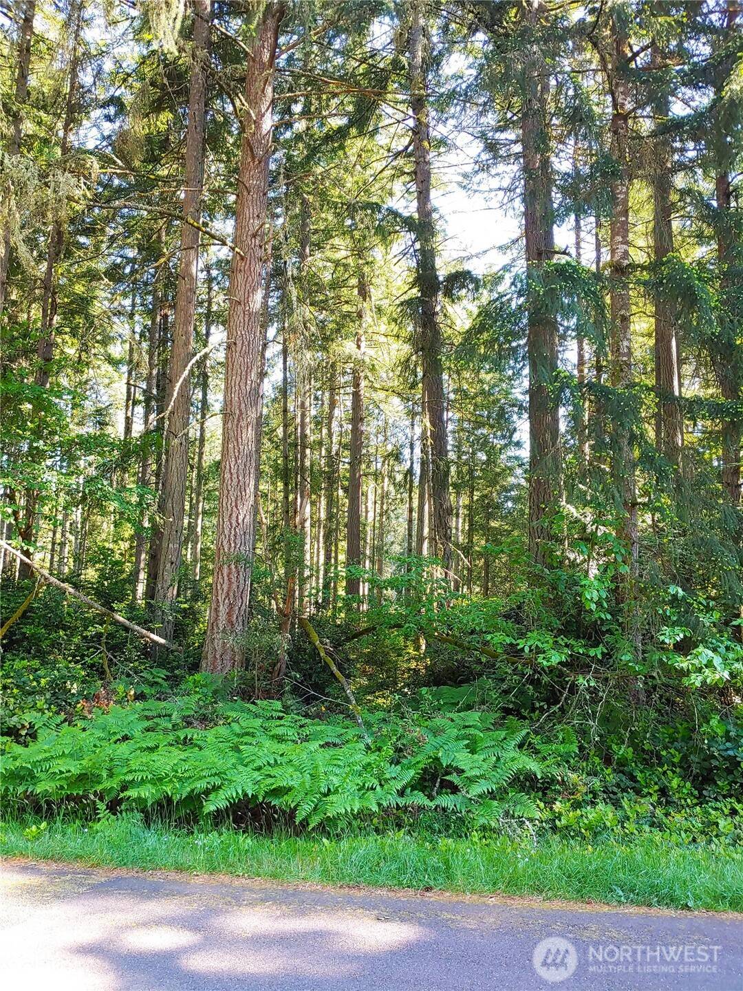 Anderson Island, WA 98303,11203 Juniper PL