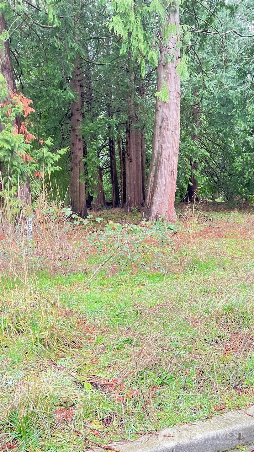 Sammamish, WA 98074,22434 SE 4th ST