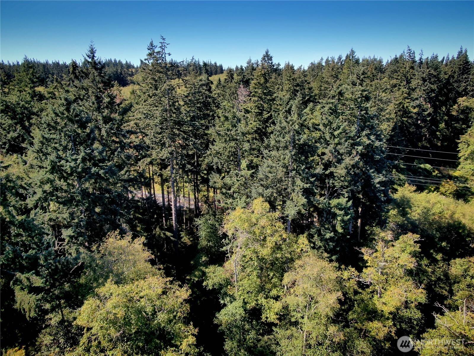 Greenbank, WA 98239,0 NHN Leaf LN