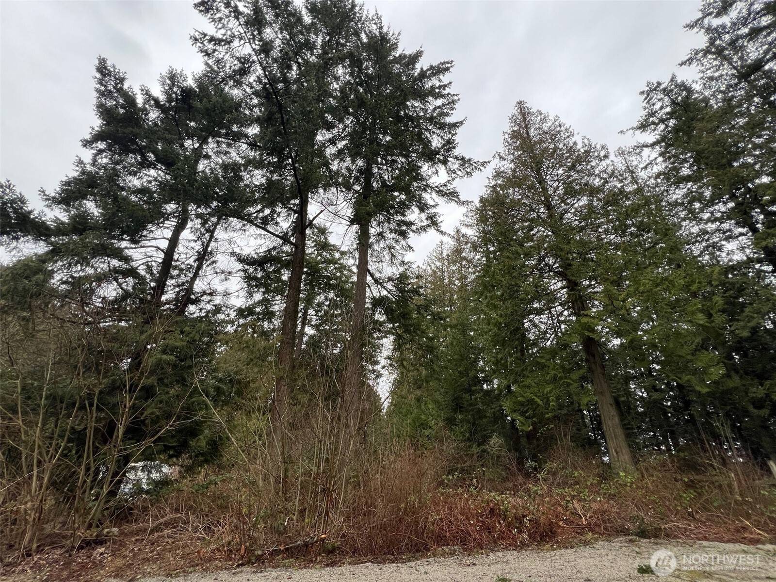 Point Roberts, WA 98281,19 Greenwood DR