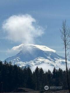 Puyallup, WA 98374,17963 139th Avenue Ct E