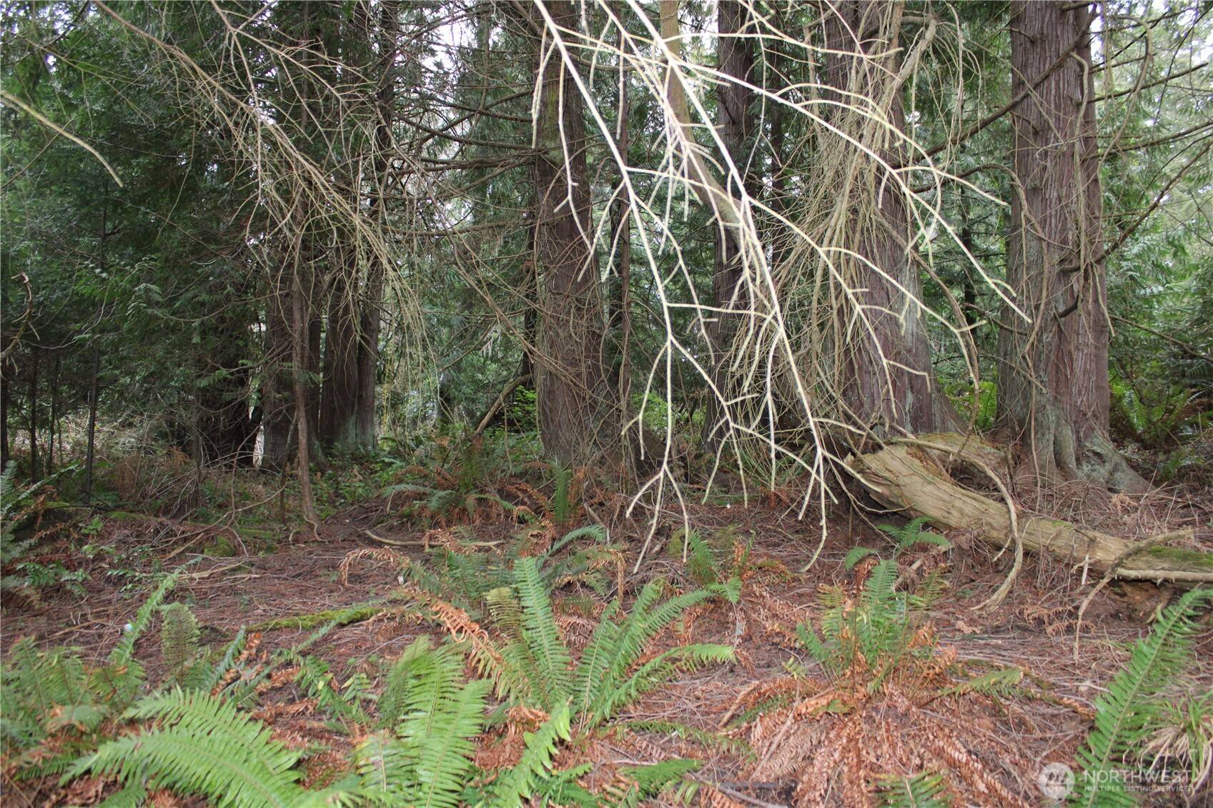 Port Angeles, WA 98362,9999 Gasman RD