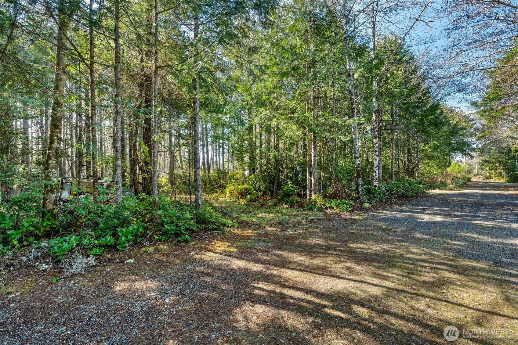 Pacific Beach, WA 98571,0 0 Biggs AVE