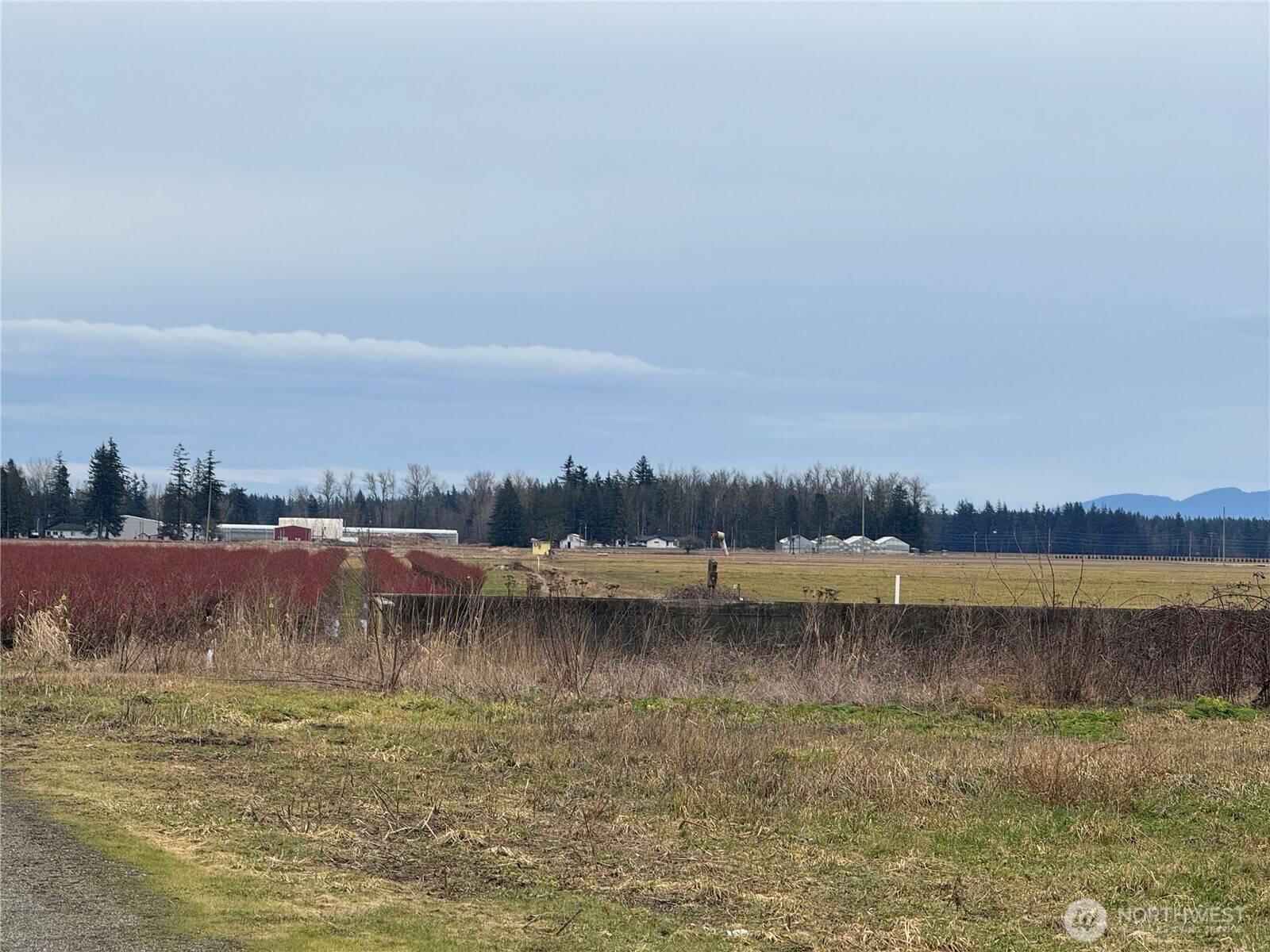 Custer, WA 98240,1429 W Badger
