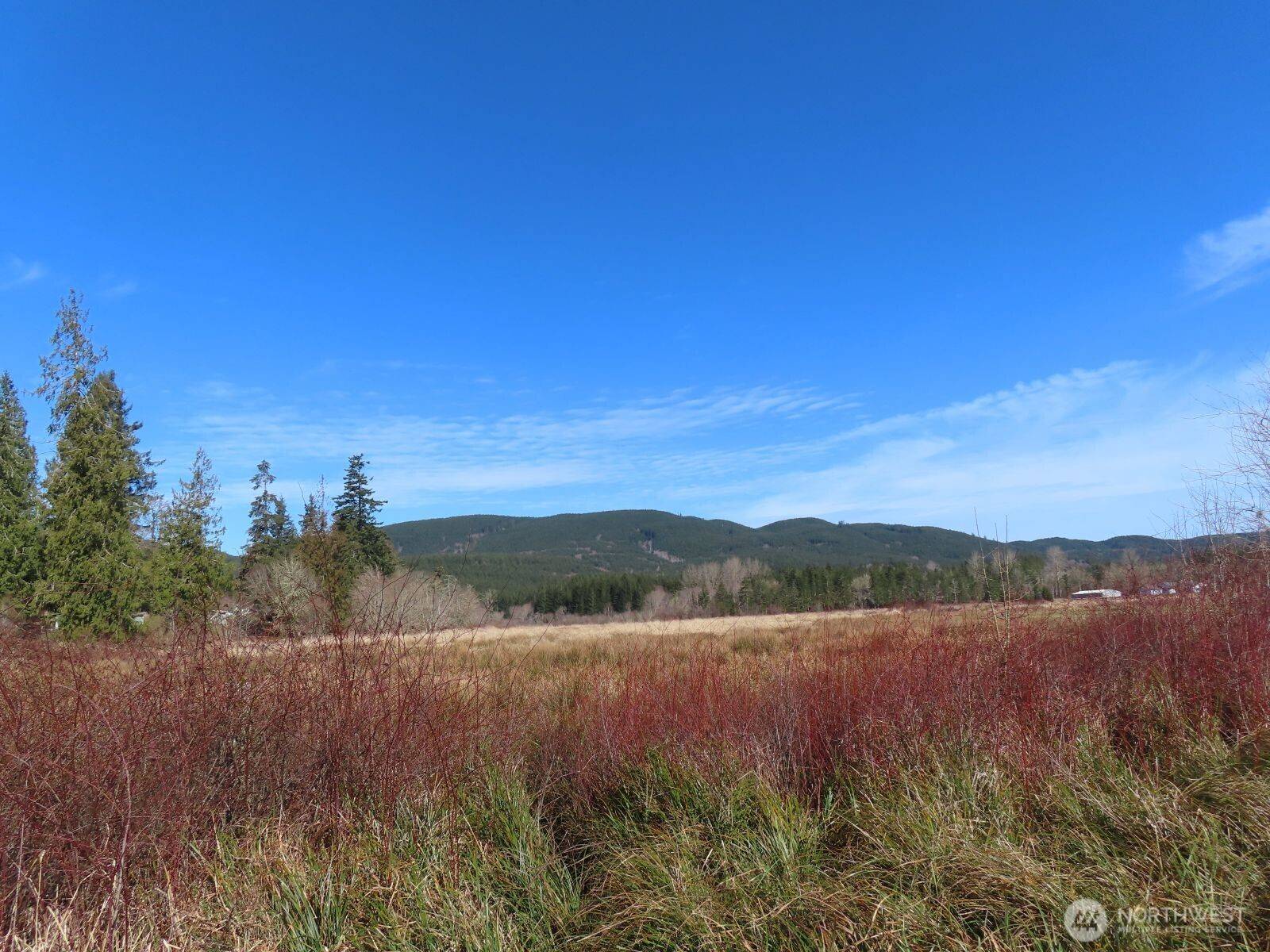 Mccleary, WA 98557,30 Belle LN