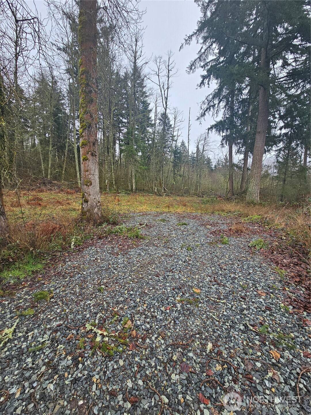 Graham, WA 98338,25933 96th AVE E