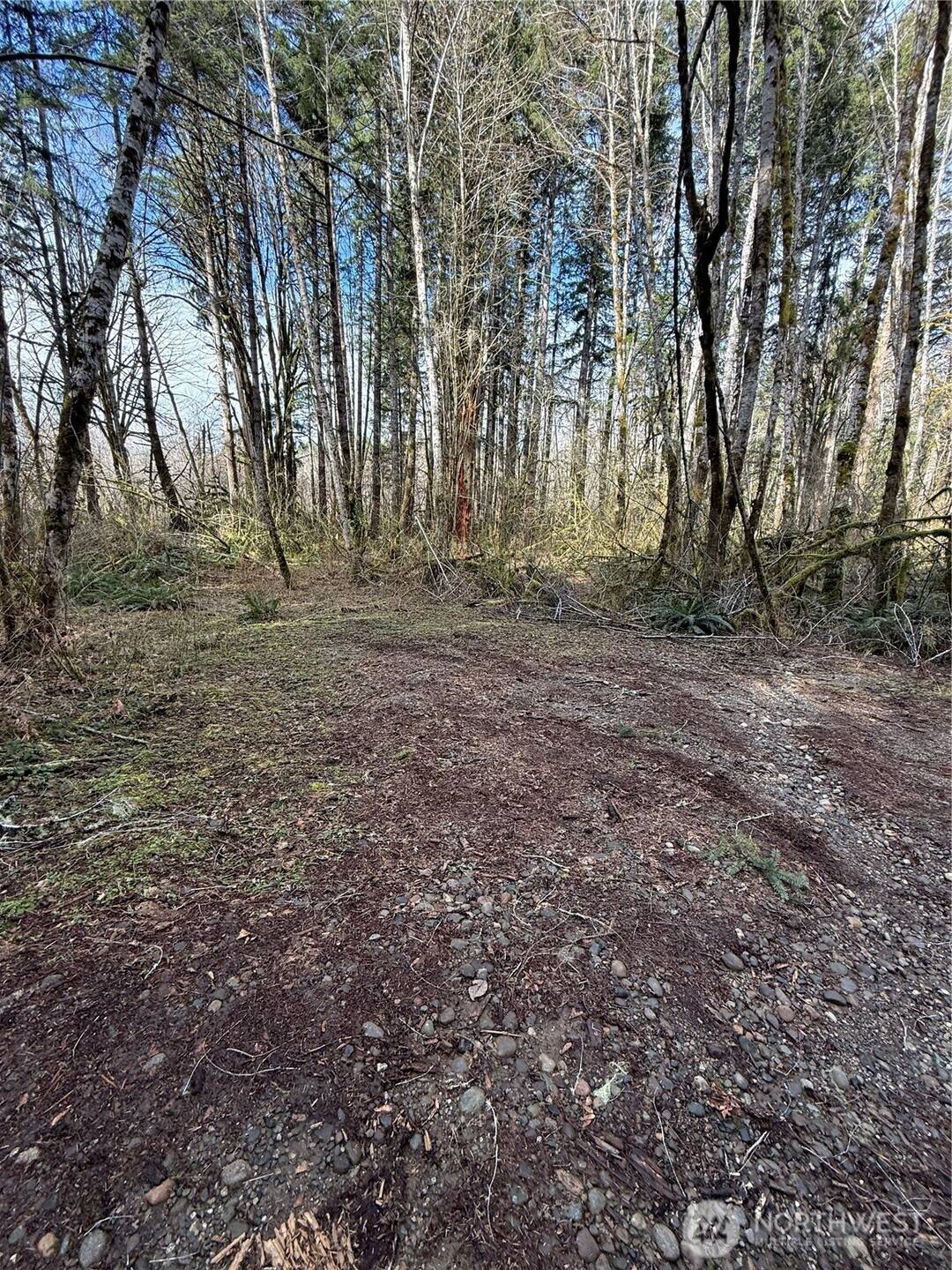 Belfair, WA 98528,0 XXXX NE Beitzel DR