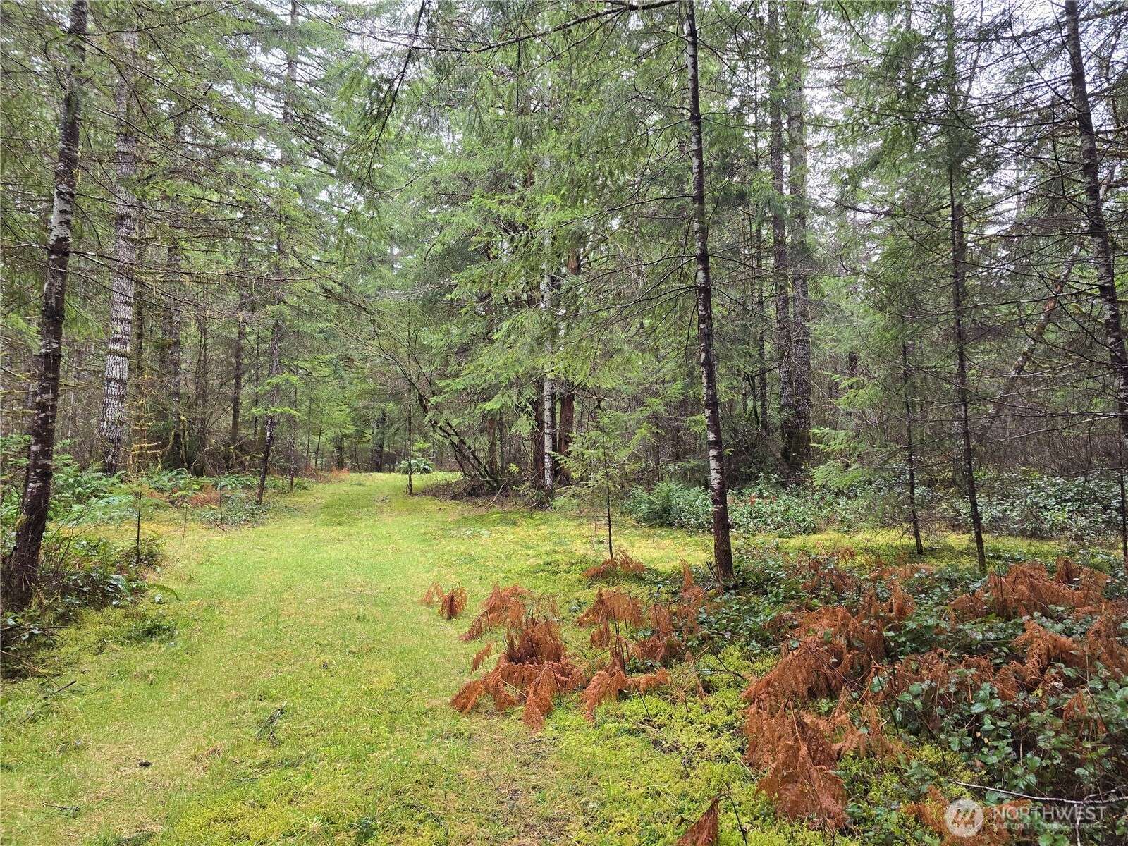 Elma, WA 98541,0 Lot 1&2 W Elk Hill RD