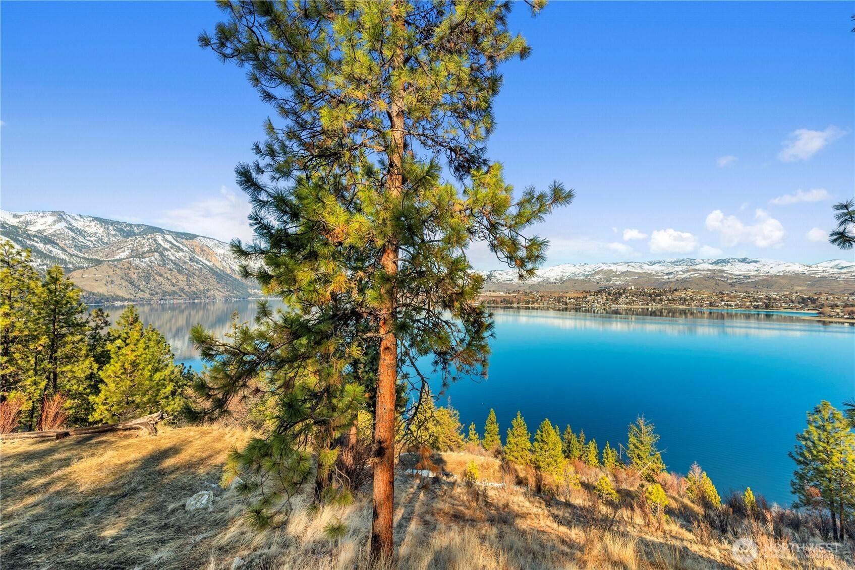 Chelan, WA 98816,7365 Ridgeview DR