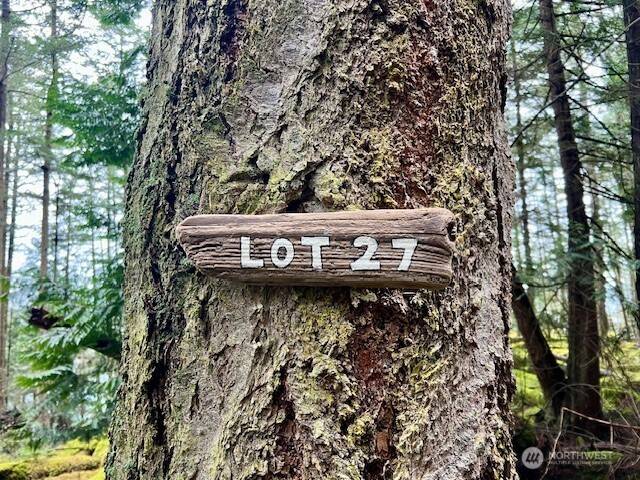 Obstruction Island, WA 98279,0 Lot 27 Peavine Way