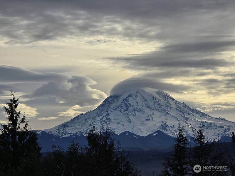 Puyallup, WA 98374,14608 136th AVE E