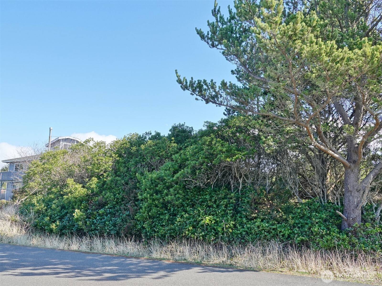Ocean Shores, WA 98569,470 Sand Dune AVE SW
