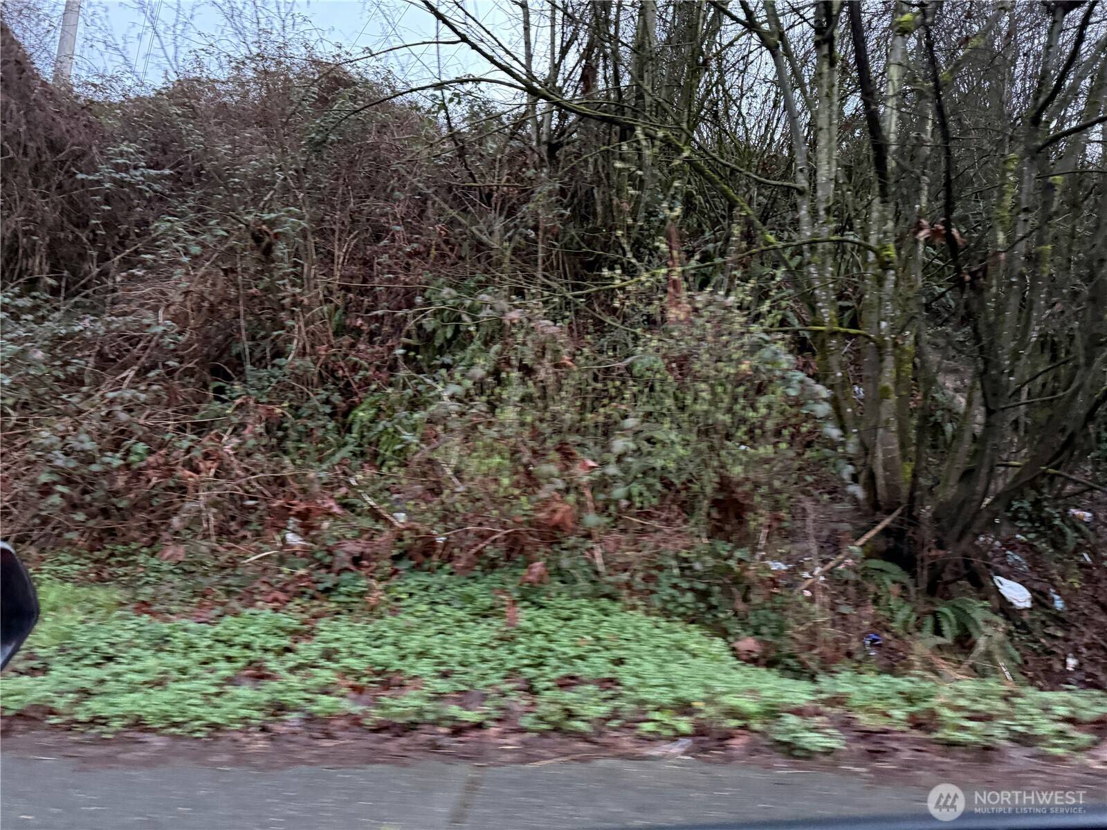 Seattle, WA 98178,88 XX S 133rd PL
