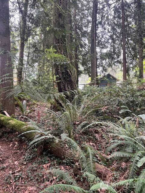 Gig Harbor, WA 98332,2902 136th ST NW