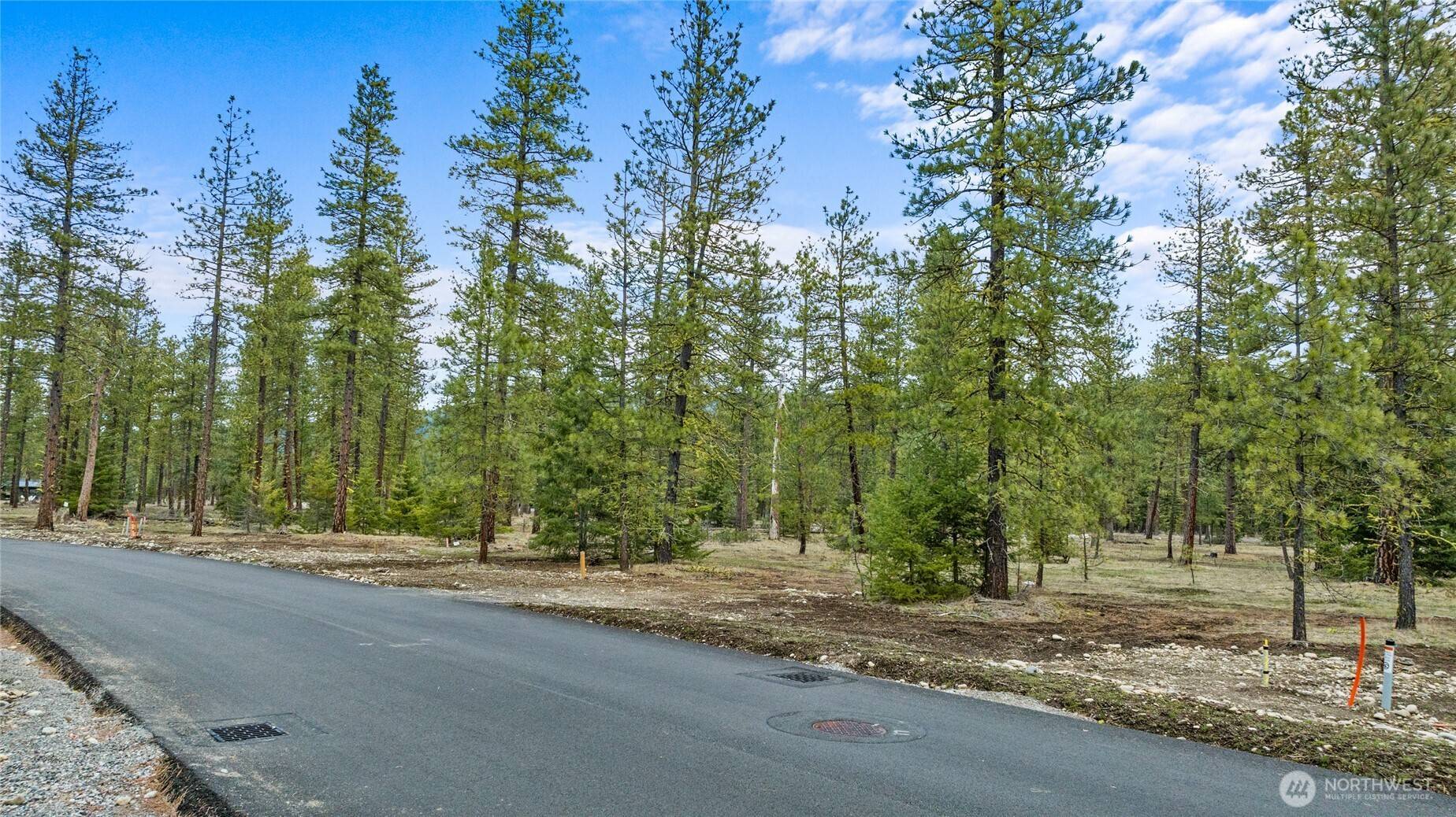 Cle Elum, WA 98922,25 Wanawish LOOP