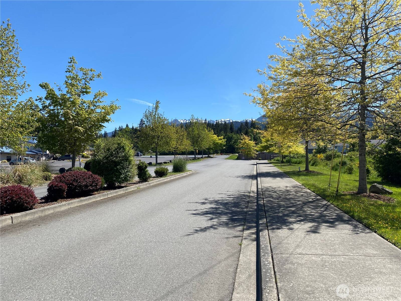 Port Angeles, WA 98362,3601 Page St