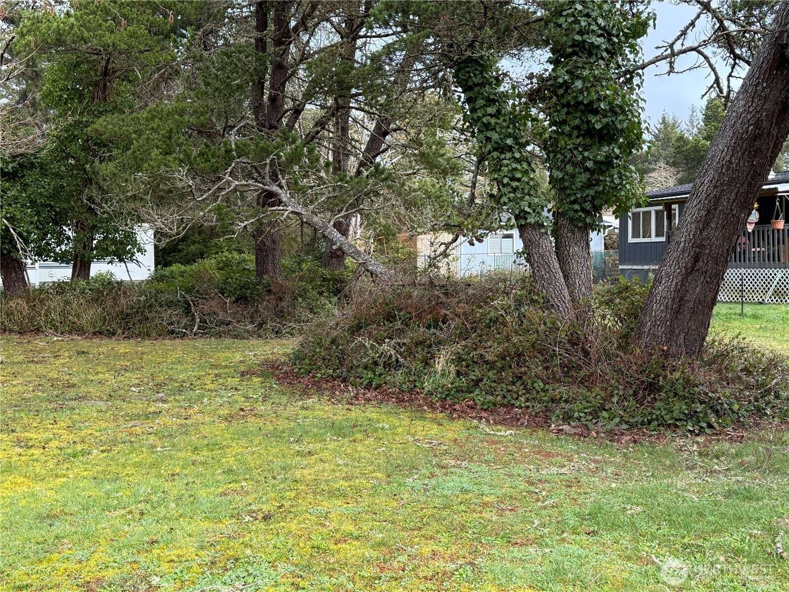 Ocean Park, WA 98640,1305 322nd PL