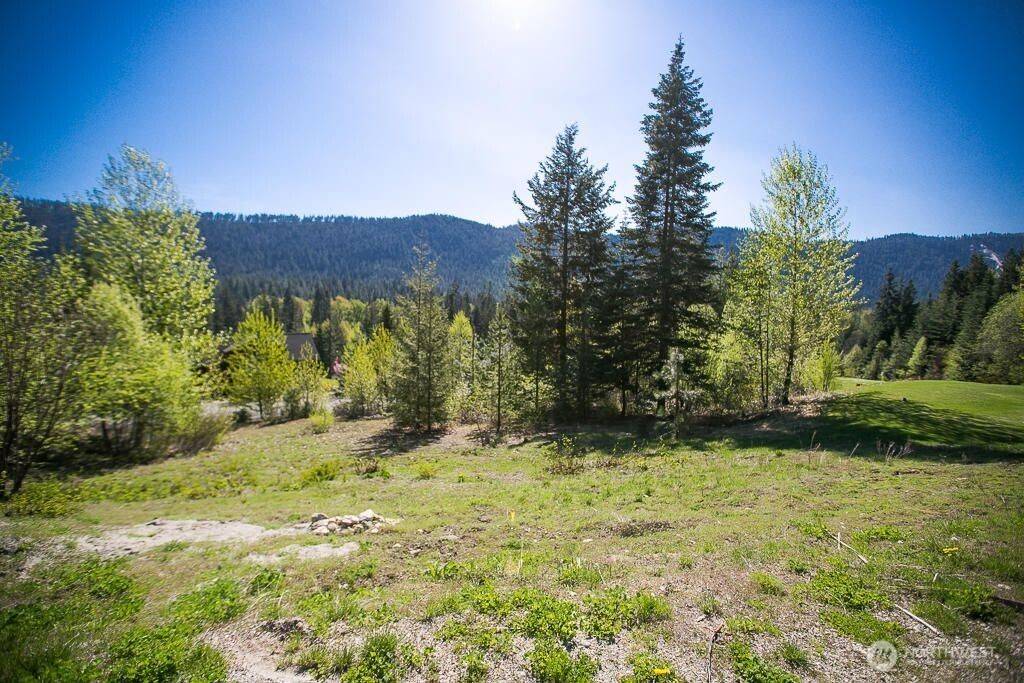 Leavenworth, WA 98826,20700 Pelton PL