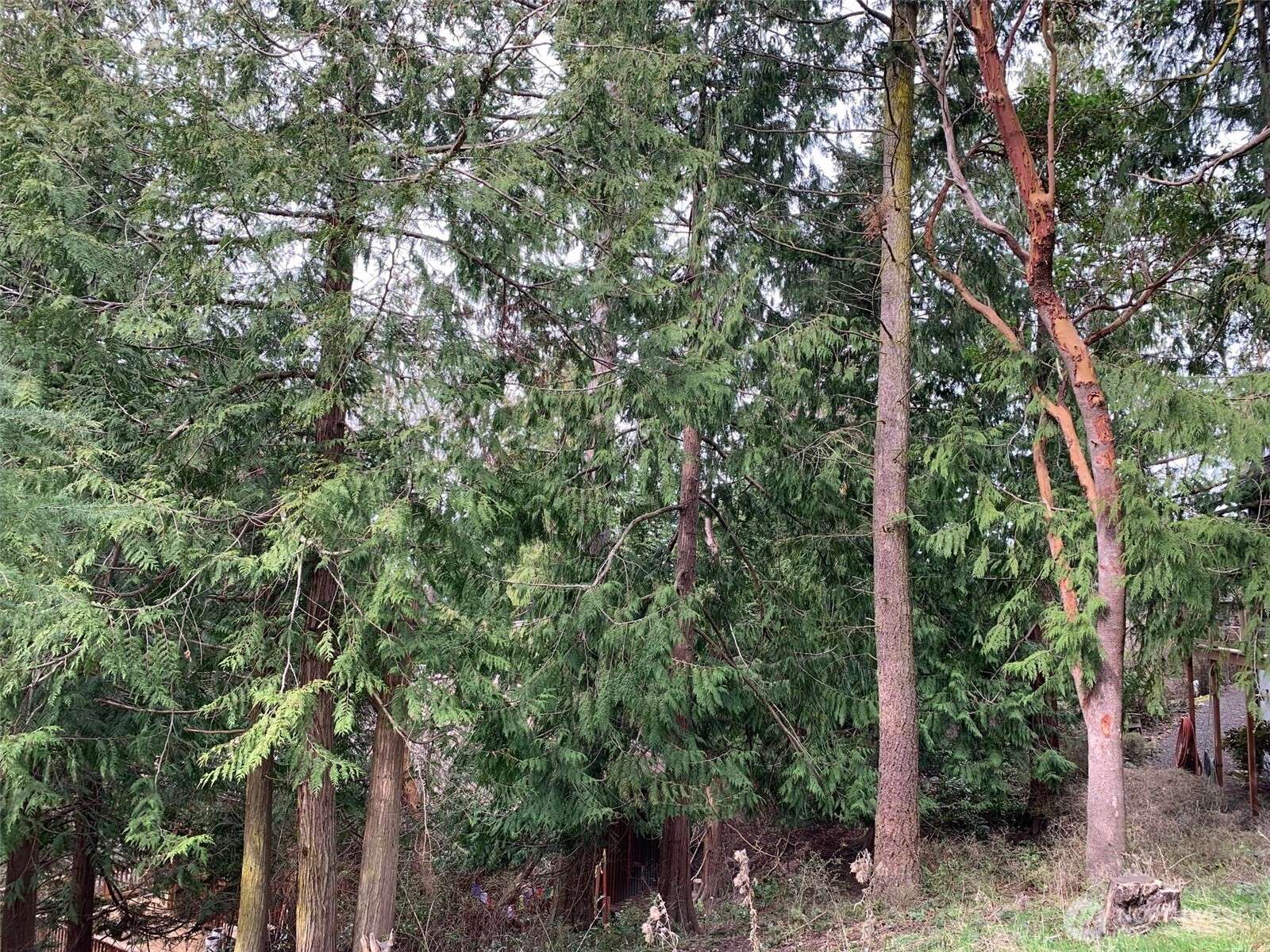 Port Townsend, WA 98368,9999 Tyler ST