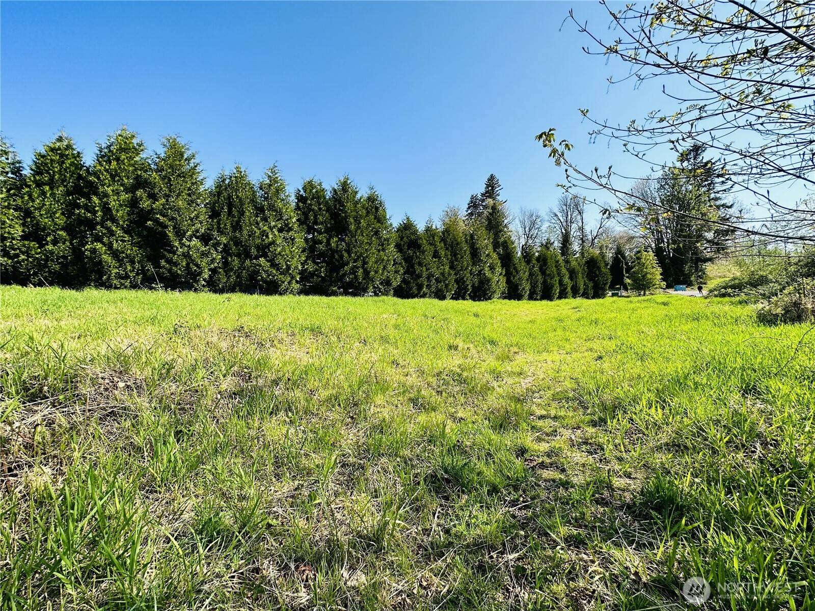 Mossyrock, WA 98564,295 DeGoede DR