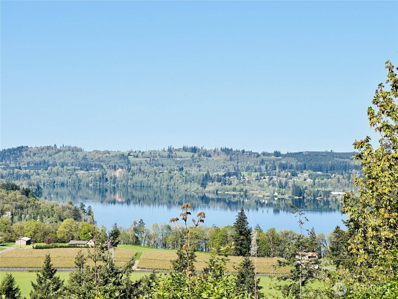 Mossyrock, WA 98564,295 DeGoede DR