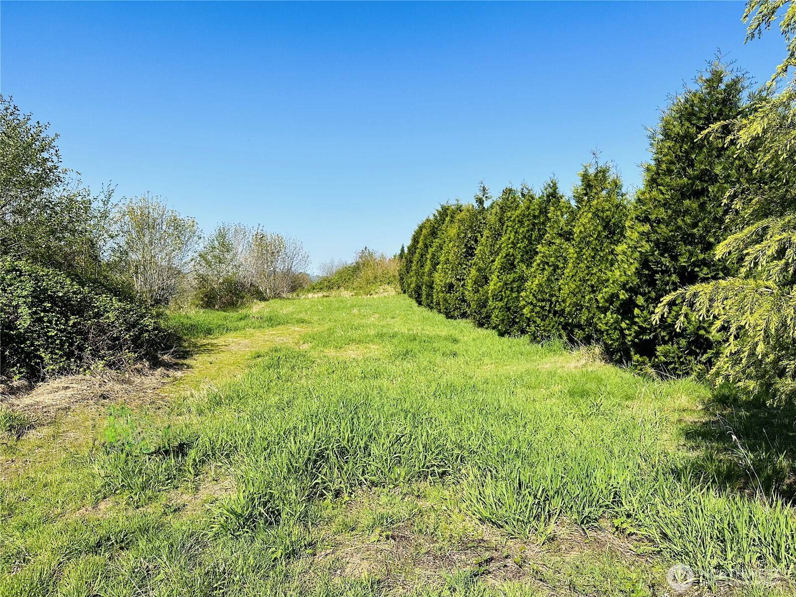 Mossyrock, WA 98564,295 DeGoede DR