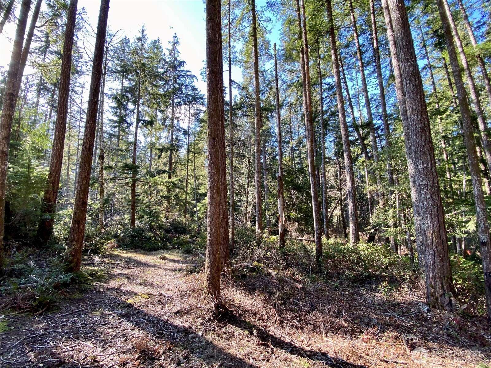 Shelton, WA 98584,100 E Blenheim PL