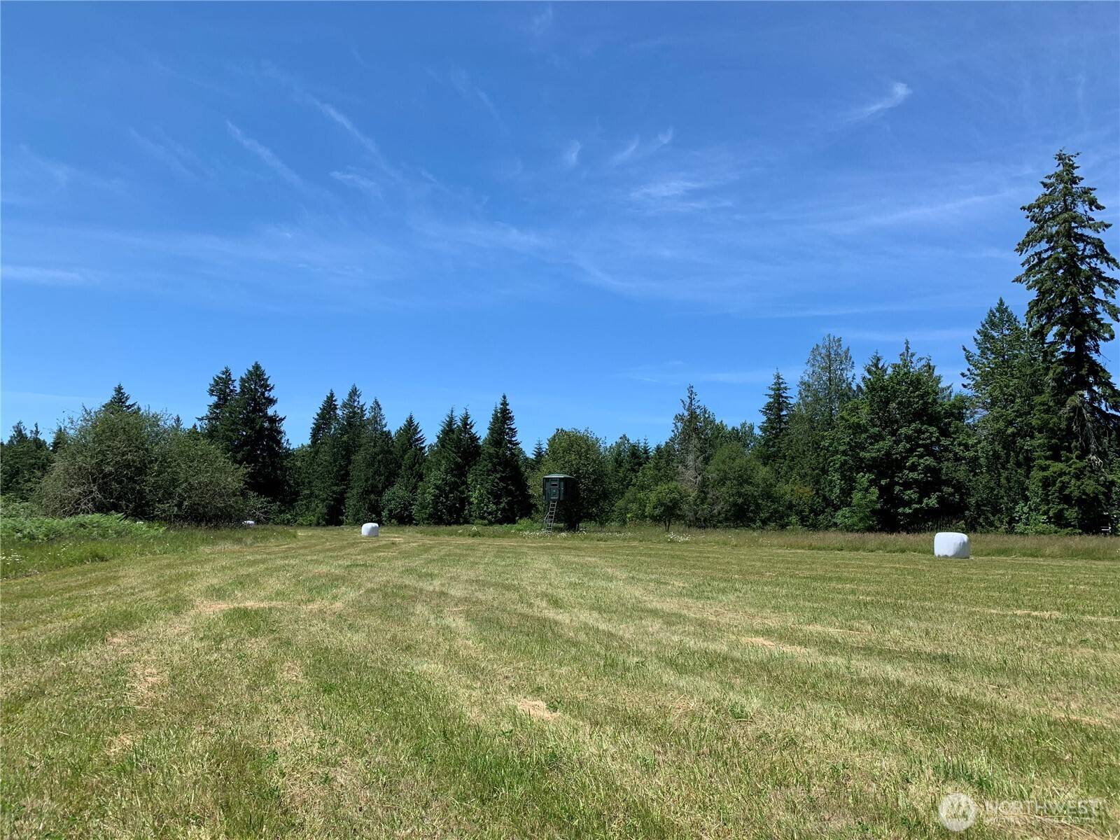 Toutle, WA 98649,723 Lapham RD