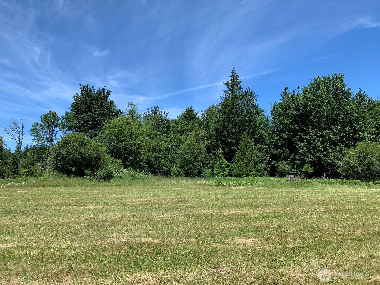 Toutle, WA 98649,193 Mask LN