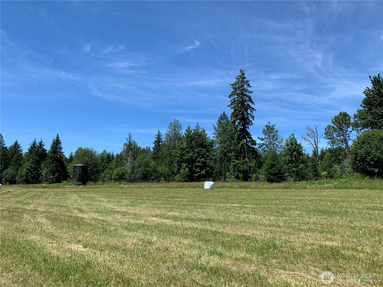 Toutle, WA 98649,193 Mask LN