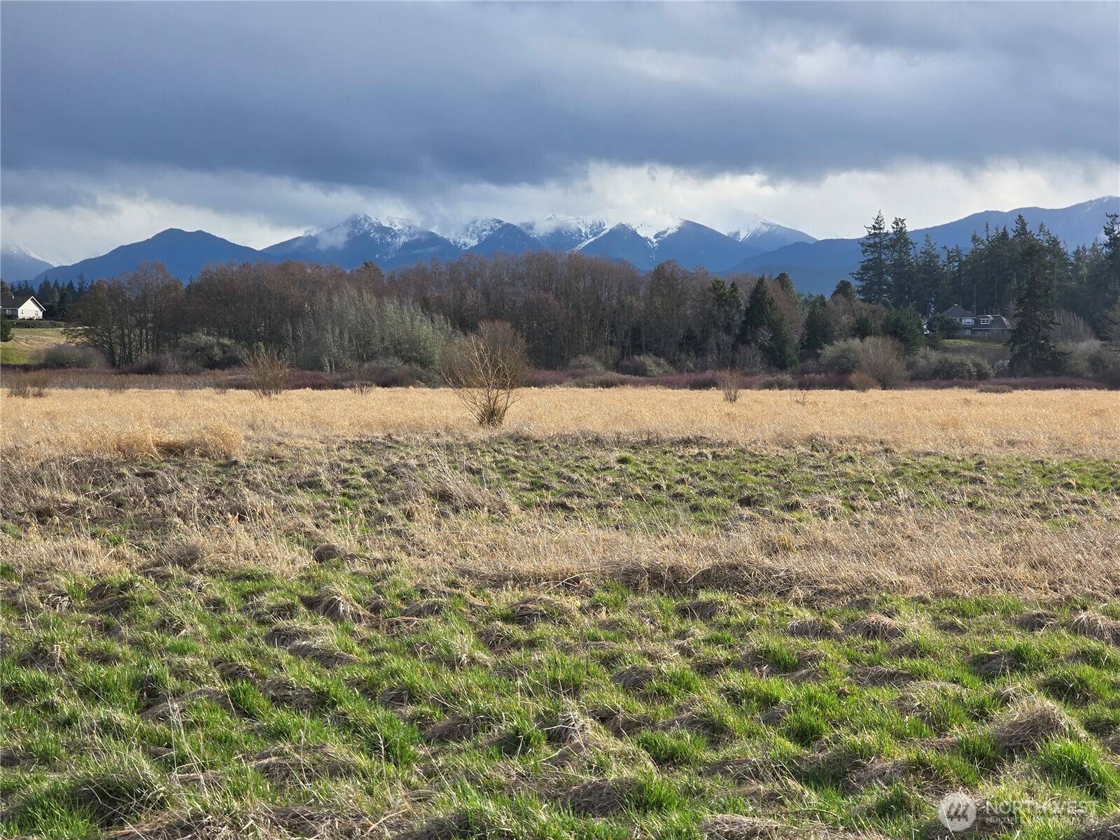 Sequim, WA 98382,104 Green Valley LN