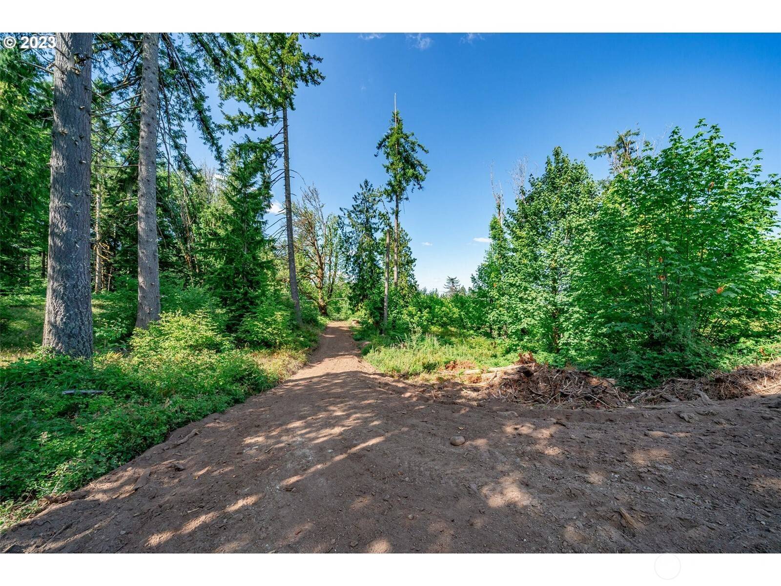 Castle Rock, WA 98611,0 S Silver Lake Lot #1 RD