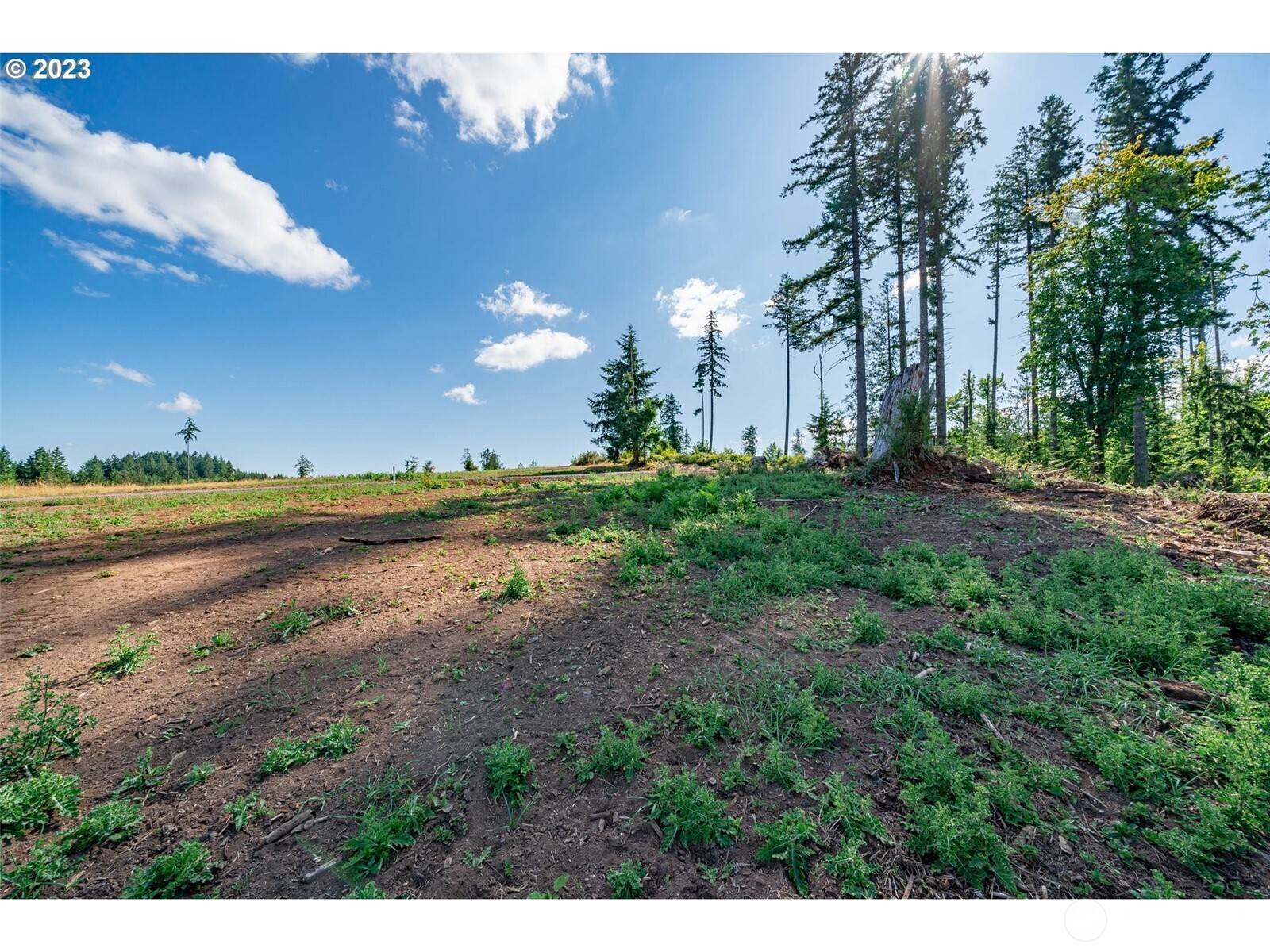 Castle Rock, WA 98611,0 S Silver Lake Lot #1 RD
