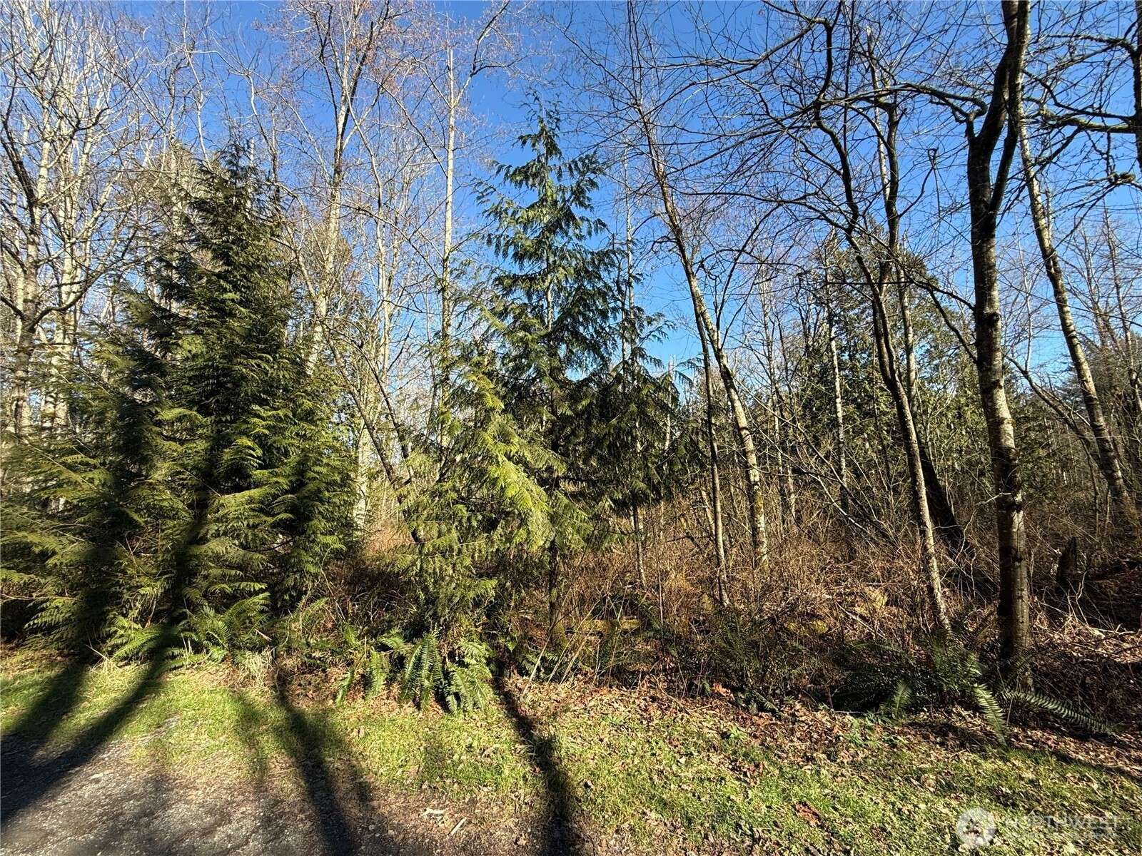 Blaine, WA 98230,9760 W 31st PL
