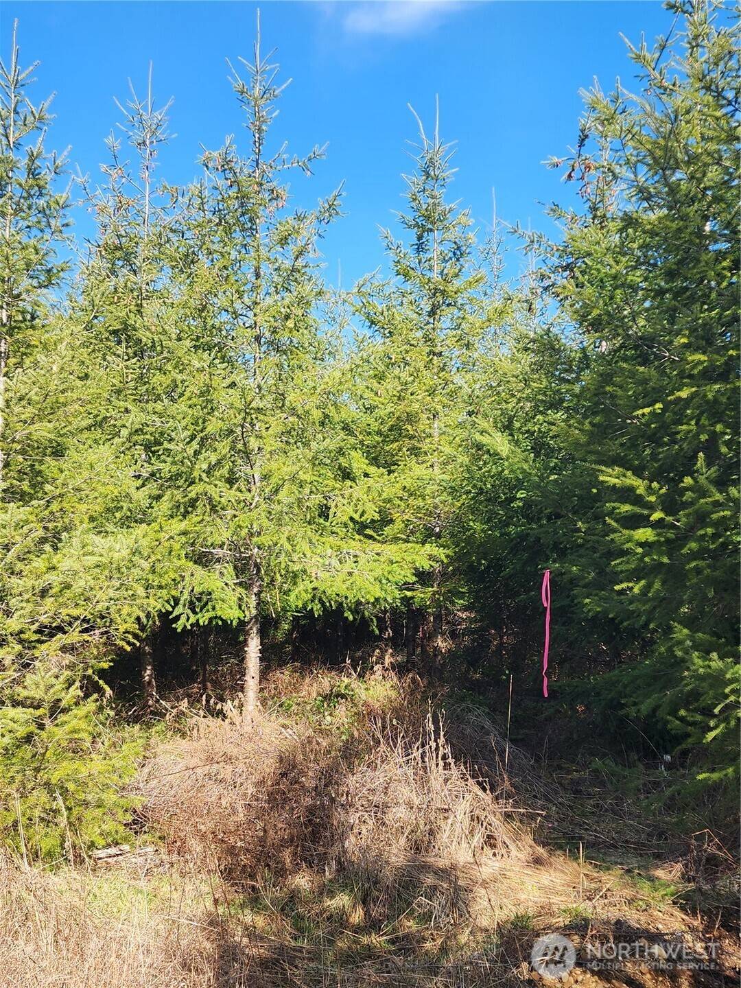 Mccleary, WA 98557,27 Foreman RD