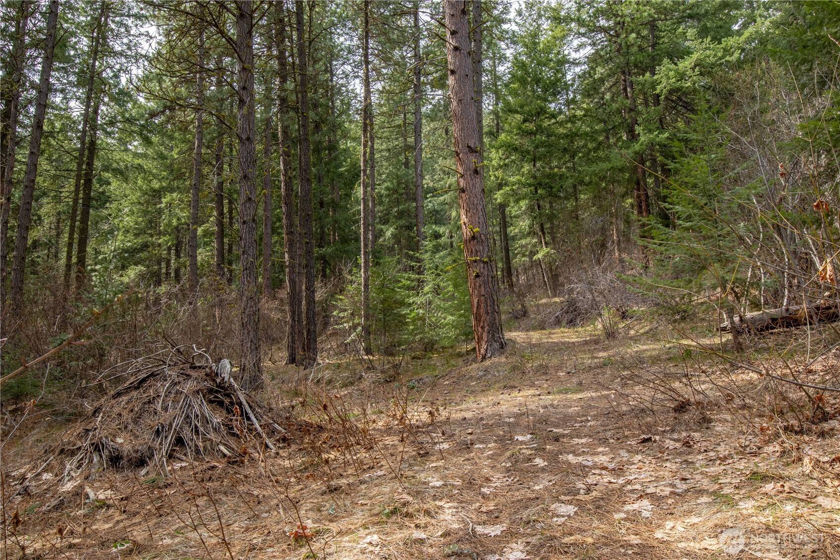 Leavenworth, WA 98826,1 Chumstick Hwy