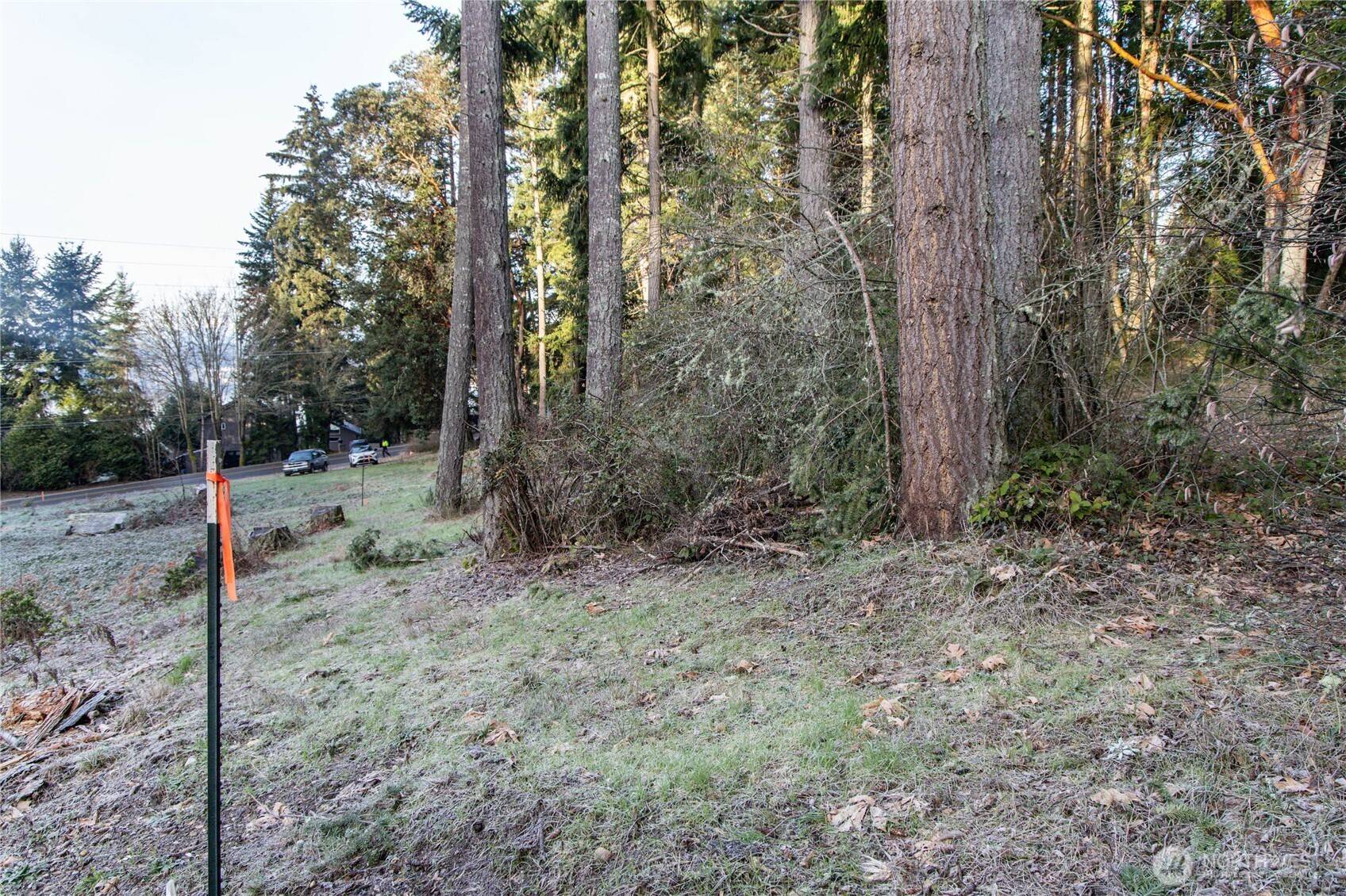 Poulsbo, WA 98370,0 Lemolo Shore, Parcel 3-006 DR NE