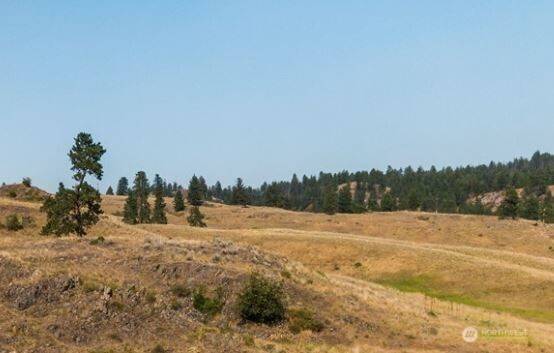 Republic, WA 99166,0 XY Union Ridge RD