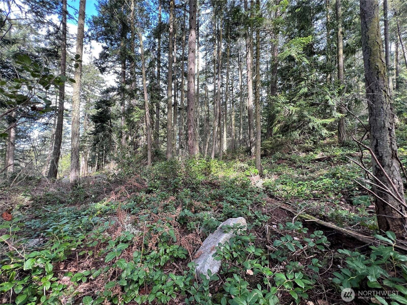 Lopez Island, WA 98261,885 Pavey BLVD
