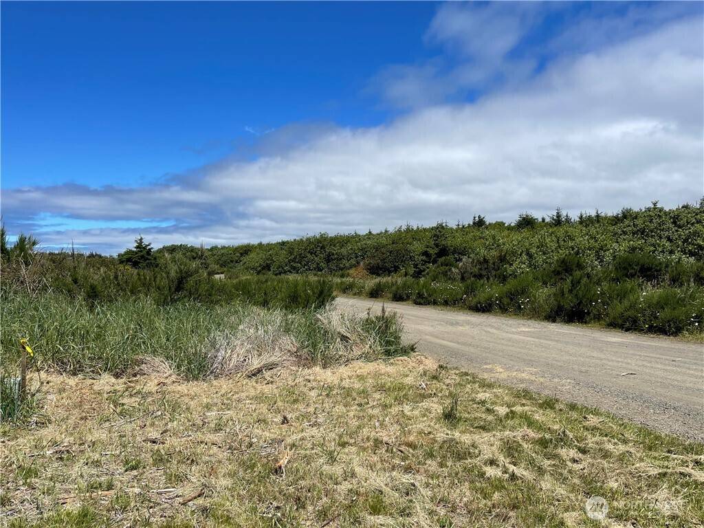 Ocean City, WA 98569,70 Dunes LN