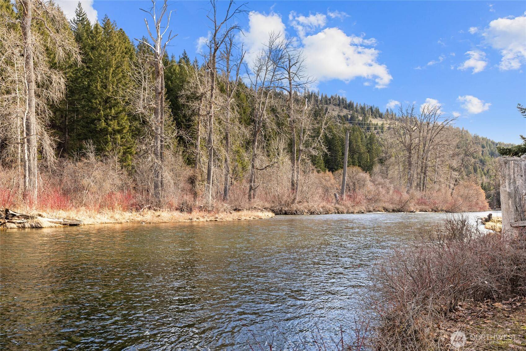 Cle Elum, WA 98922,1081 Wapiti DR